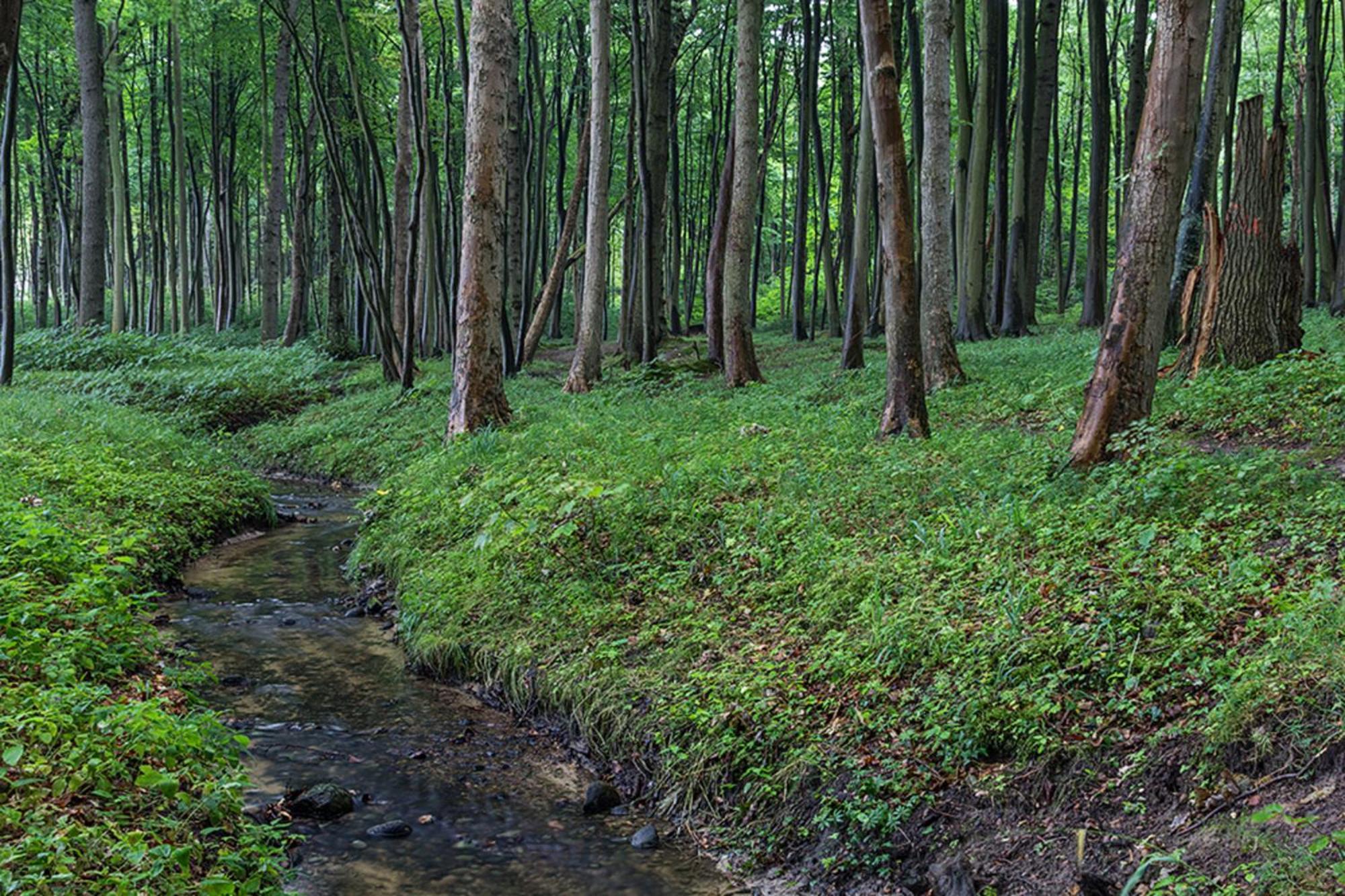 Ostseeloggia Nienhagen  Buitenkant foto